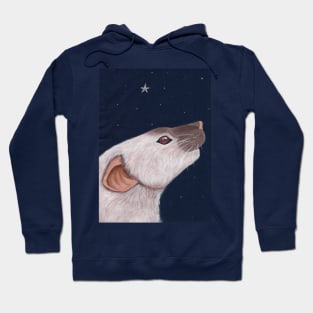 Siamese Rat Star Gazing Hoodie